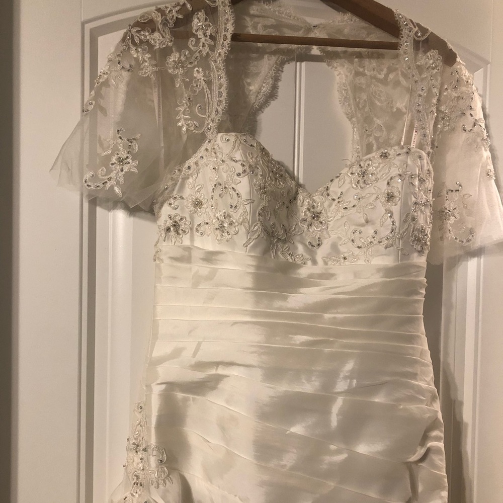 Wedding dress and veil